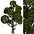 Round Shaped Bonsai Trees Duo (2 Trees) 3D model small image 4