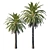 2013 Phoenix Palm Tree Model 3D model small image 1