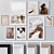 Multicolor Wooden Photo Frames Set 3D model small image 1