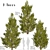 3-Piece Set of Picea Abies Trees 3D model small image 1