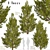 3-Piece Set of Picea Abies Trees 3D model small image 2