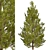 3-Piece Set of Picea Abies Trees 3D model small image 3