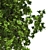 Optimized Bay Tree 4K Texture 3D model small image 2