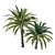 Elegant Phoenix Palm Tree 03 3D model small image 2