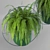 Lush Green Hanging Fern Duo 3D model small image 5