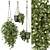 Rustic Concrete Pot with Macrame Indoor Plants - Set 17 3D model small image 1