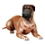  Lifelike Bullmastiff Dog Model 3D model small image 1