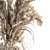 Pampas Dream - Dried Plant Bouquet 3D model small image 2