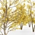 Bountiful River Birch Trees 3D model small image 3