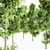Sourwood 5-TREE Forest Jungle 3D model small image 2