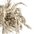 Botanical Bliss: Dried Plant Hanging Set 3D model small image 2