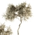 Leafy Tree Dried Set - 30 3D model small image 1