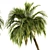 Tropical Bliss - Palm Tree Set 3D model small image 2