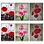 Multi-frame Painting Set with Various Frame Options 3D model small image 2