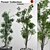 3D Indoor Plant Collection: High-Quality, FBX Compatible 3D model small image 2