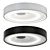 Sleek Asymmetric Ceiling Light 3D model small image 1