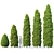 Golden Oriental Arborvitae - 2-6m 3D model small image 1