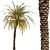 Exquisite Set of Date Palm Trees 3D model small image 2