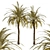 Exquisite Set of Date Palm Trees 3D model small image 3