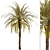 Exquisite Set of Date Palm Trees 3D model small image 5