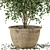 Rustic Concrete Pot Indoor Plants - Set of 20 3D model small image 3