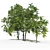 Manchurian Walnut Tree Bundle - 3 Varieties 3D model small image 3