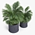 Birmingham Palm Planter: 3D Design 3D model small image 3