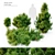 Compact Mugo Pine Trees 3D model small image 1