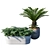 Tropical Charm Tree Pot 3D model small image 1