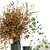 Elegant Greenery Decor Set 3D model small image 1