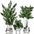 Tropical Chrome Plant Collection 3D model small image 1