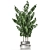 Tropical Chrome Plant Collection 3D model small image 2