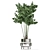 Tropical Chrome Plant Collection 3D model small image 3