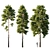 18m Pinus sylvestris Tree 3D model small image 6