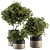 Ultimate Indoor Plant Collection - Potted Tree 3D model small image 1