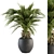 Tropical Palm Plant in Pot 3D model small image 1