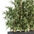 Green Oasis: Bamboo Bliss in Box 3D model small image 2