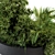 Green Oasis: Outdoor Plant Set in Concrete Pot 3D model small image 4