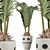 Exotic Palm Pool Plants Collection 3D model small image 1