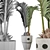 Exotic Palm Pool Plants Collection 3D model small image 4