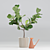 Realistic Fiddle-Leaf Fig 3D Model 3D model small image 1