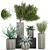 Tropical Oasis: Exotic Plants & Stylish Concrete Planters 3D model small image 1