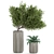 Tropical Oasis: Exotic Plants & Stylish Concrete Planters 3D model small image 2