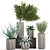 Tropical Oasis: Exotic Plants & Stylish Concrete Planters 3D model small image 4