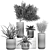 Tropical Oasis: Exotic Plants & Stylish Concrete Planters 3D model small image 5