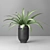 Versatile Spider Plant: Indoor & Outdoor 3D model small image 1