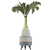 Tropical Palm Tree Collection 3D model small image 2