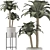 Tropical Paradise: Beach Palm Duo 3D model small image 4