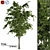 High-Quality 3D Tree Model 3D model small image 1