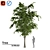 High-Quality 3D Tree Model 3D model small image 2